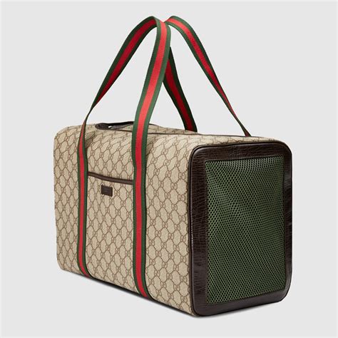 gucci dog bag